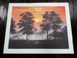 Фотохолст 380 г/м2 - картина Закат в лесу
